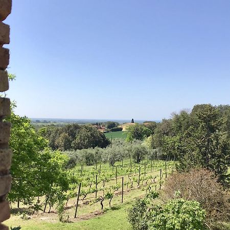 Agriturismo La Leccia Villa Bibbona Buitenkant foto