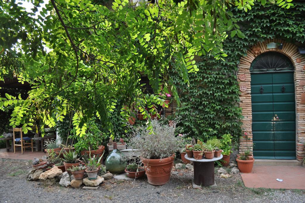 Agriturismo La Leccia Villa Bibbona Buitenkant foto