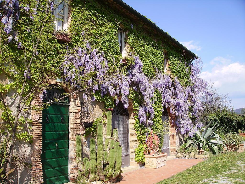 Agriturismo La Leccia Villa Bibbona Buitenkant foto