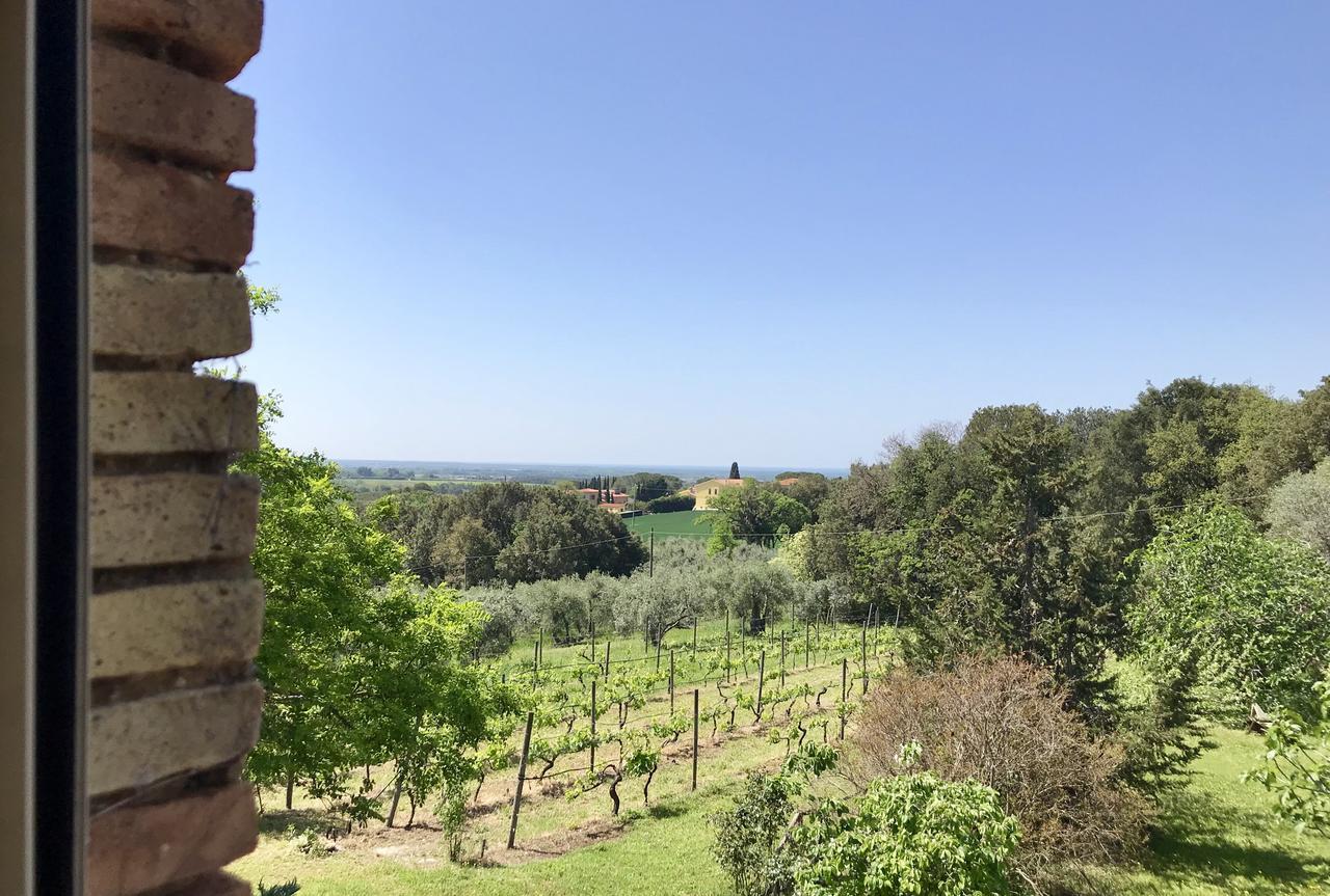 Agriturismo La Leccia Villa Bibbona Buitenkant foto