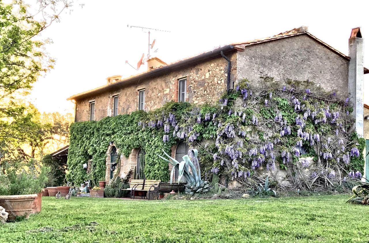 Agriturismo La Leccia Villa Bibbona Buitenkant foto